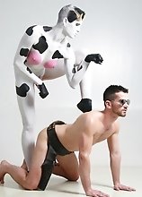 Naughty cow Danni enjoys a guy